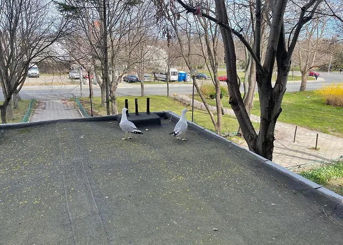 Апартаменты морски дом Бургас